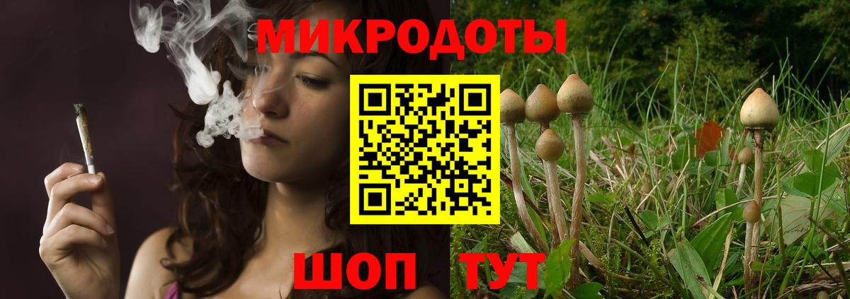 Галлюциногенные грибы Magic Shrooms Новозыбков