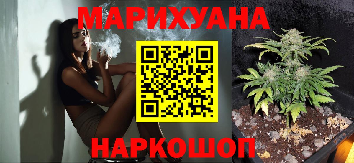 Новозыбков  Шишки марихуана план  Бошки марихуана Bruce Banner  Вход с VPN  Бошки марихуана Amnesia  МАРИХУАНА ГИДРОПОН 